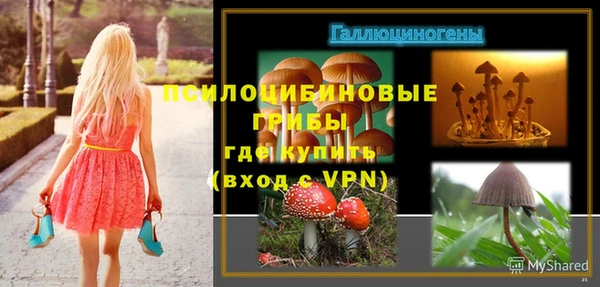 соль ск Аркадак